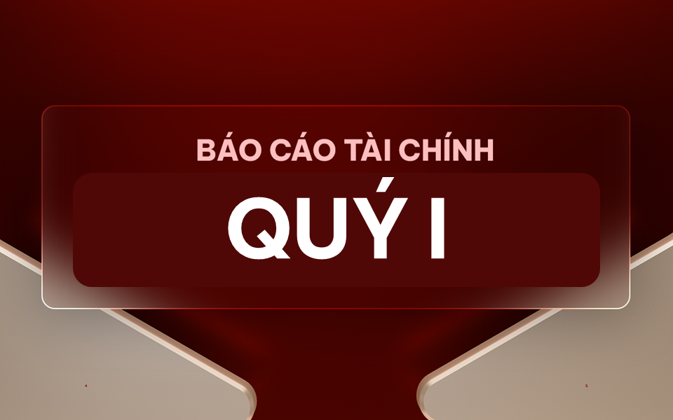 Báo cáo tài chính Quý I năm 2019