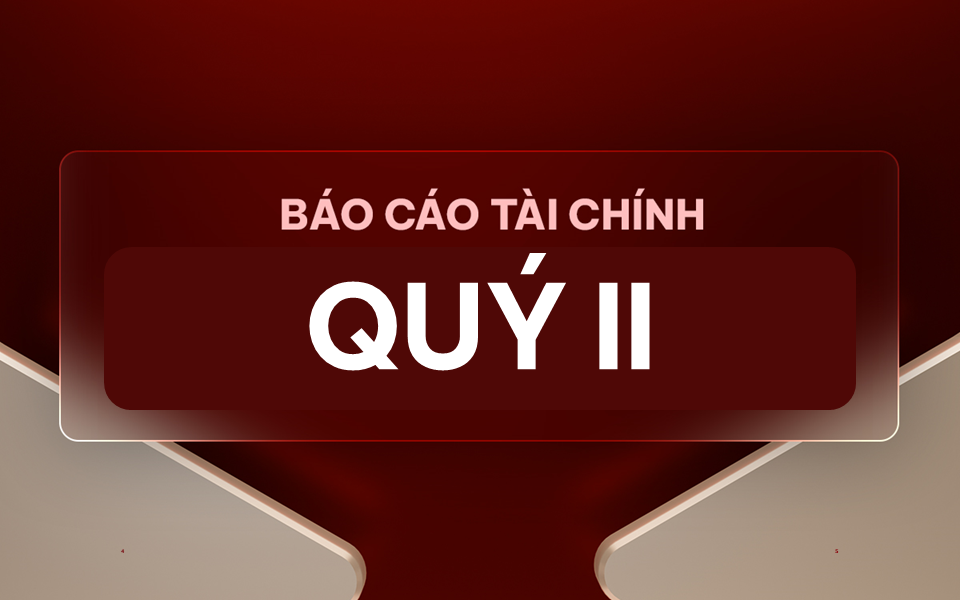 Báo cáo tài chính Quý II năm 2019