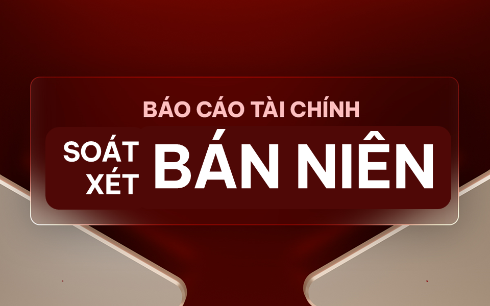 Báo cáo tài chính bán niên 2019 soát xét