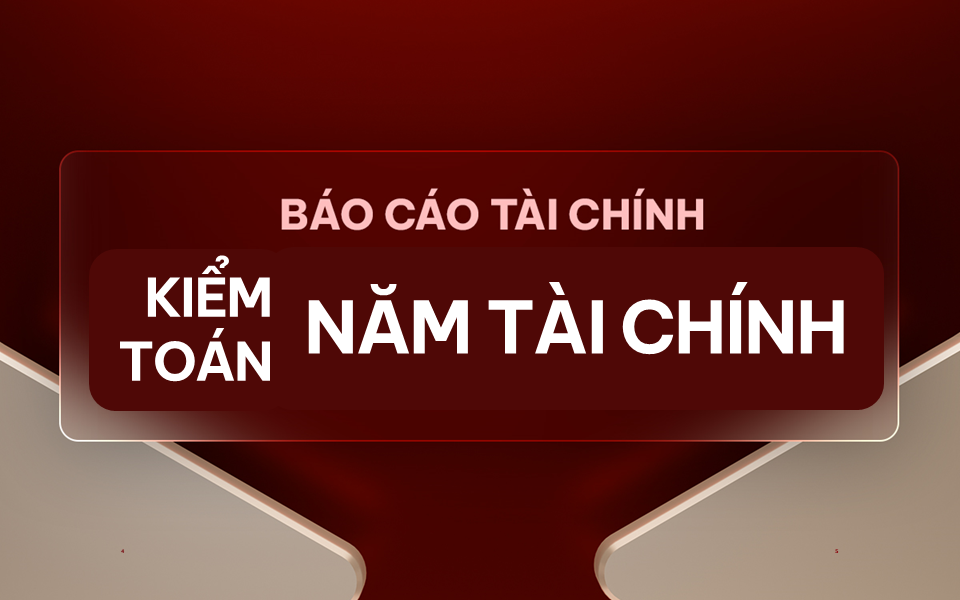 Báo cáo tài chính năm 2019 kiểm toán