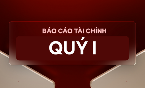 Báo cáo tài chính Quý I năm 2019