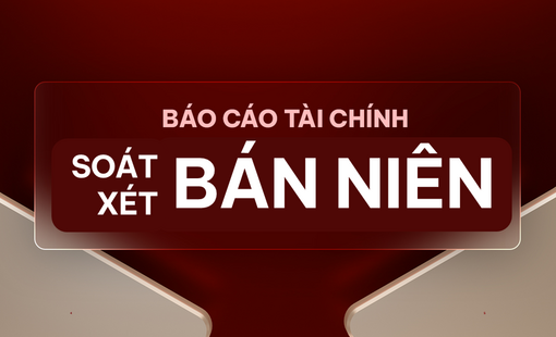 Báo cáo tài chính bán niên 2019 soát xét