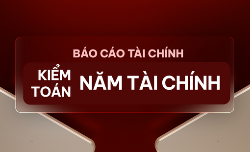 Báo cáo tài chính năm 2019 kiểm toán