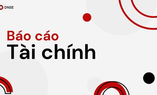 Báo cáo tài chính Quý II năm 2024