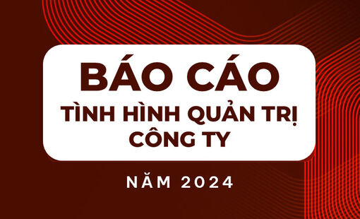 Báo cáo tình hình quản trị Công ty năm 2024