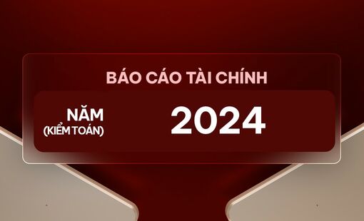 Báo cáo tài chính năm 2024 và Báo cáo tỷ lệ ATTC tại ngày 31/12/2024 đã được kiểm toán